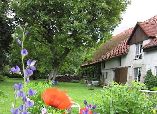 Haus Kaufen In Borgentreich Bühne