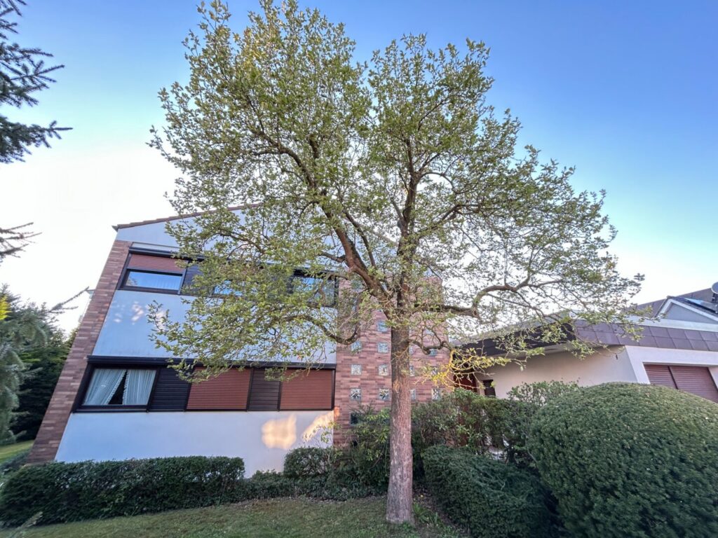 Frontansicht