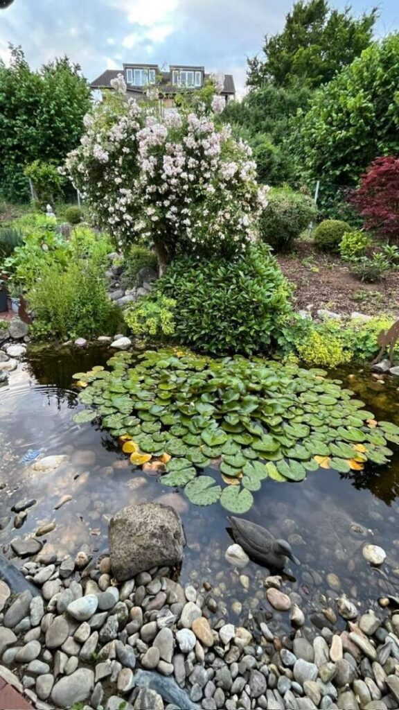 Garten