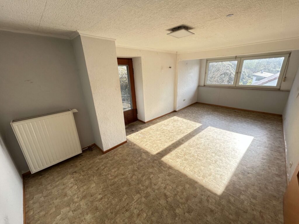 Zimmer DG